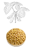 小程序定制开发